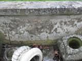 image of grave number 808100